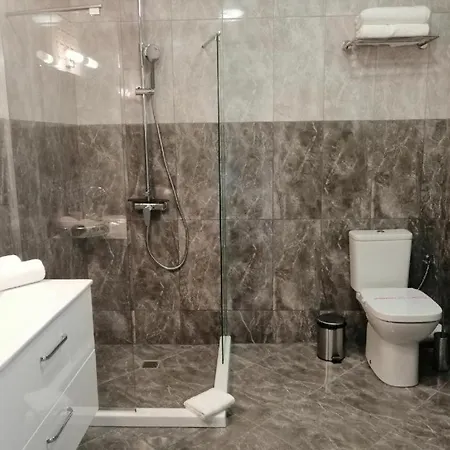 Allure Silver Studio דירה פרימורסקו
